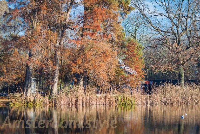 Amsterdam Vondenpark à vélo