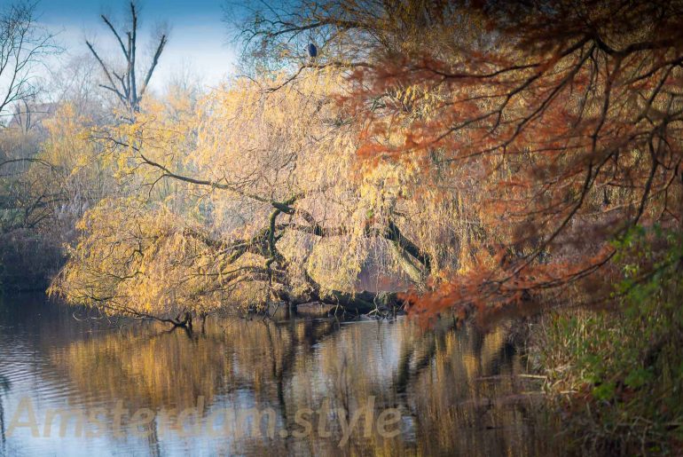 étang parc Vondenpark